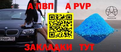 эйфоретик Кингисепп