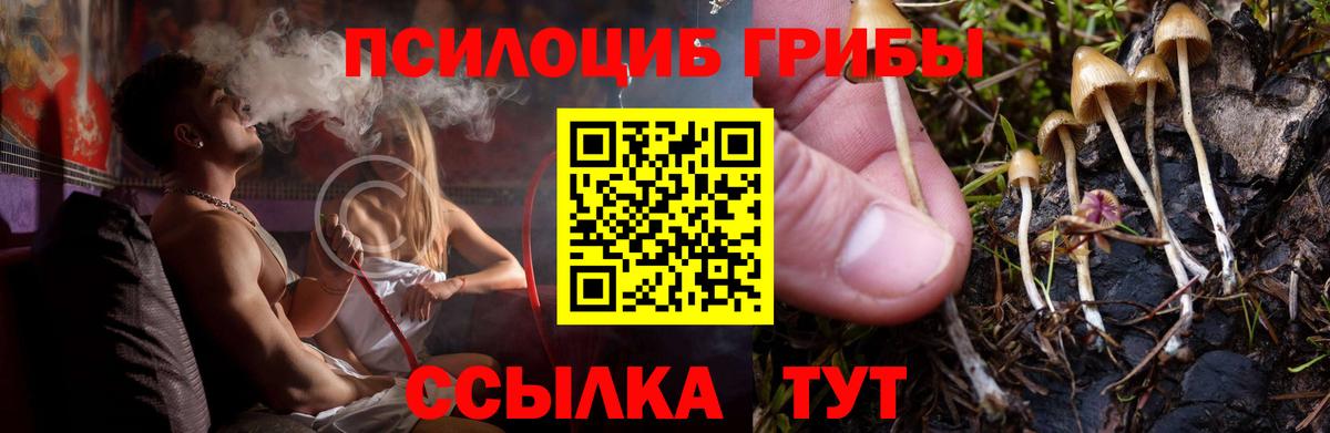 Биробиджан  дарнет шоп  Вход с VPN  Псилоцибиновые грибы Psilocybine cubensis 